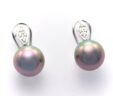 Tahitian pearl Earrings ” Adoni “