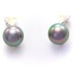 Tahitian pearl Earrings ” Badri “