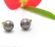 Tahitian Pearl Earrings Heipuna