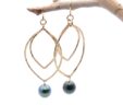 Fashion Pearl Earrings Bliss